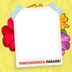 Frame of PAWR Last Event